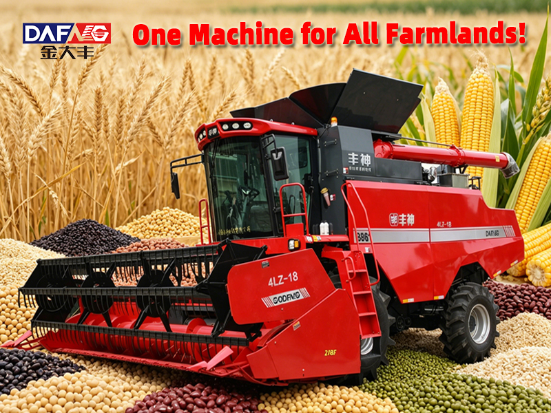 One Machine for All Farmlands! golddafeng 13kg Grain Combine Harvester Redefines All-Round Harves...