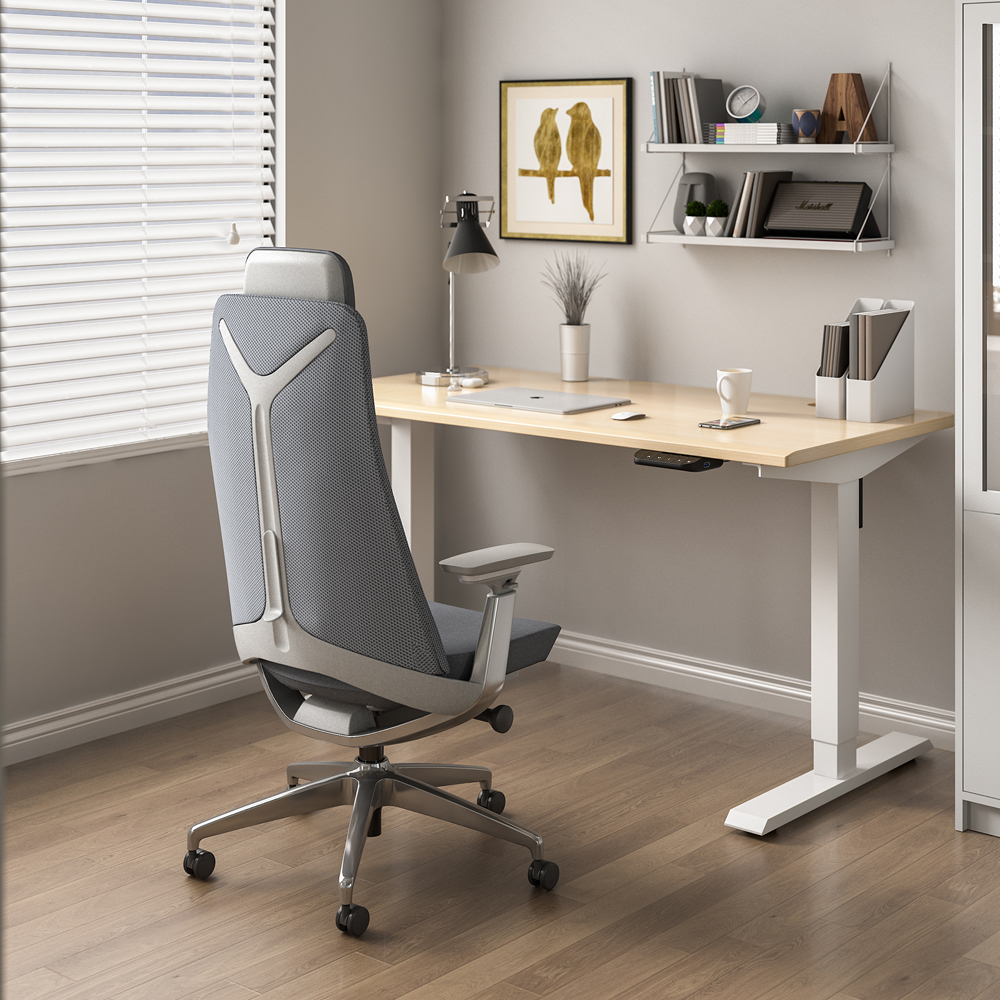 Luxury Adjustable Back Ergono...
