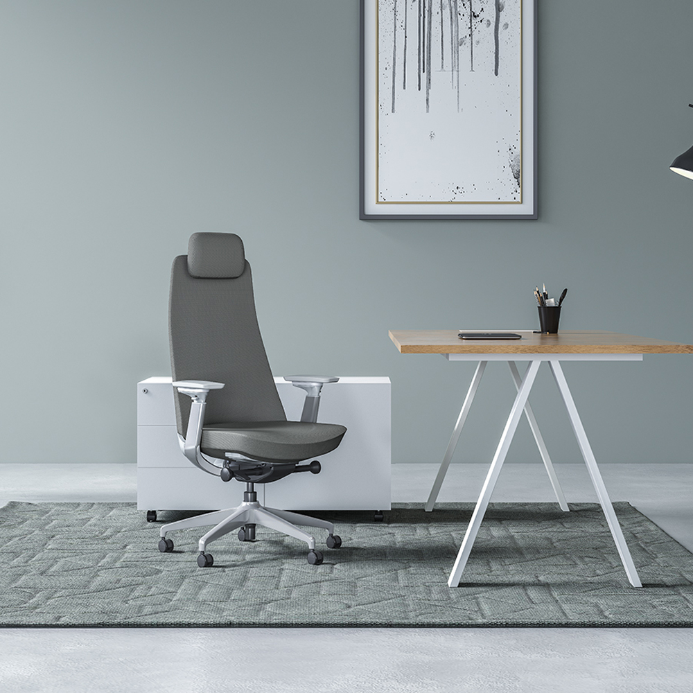 Luxury Adjustable Back Ergono...