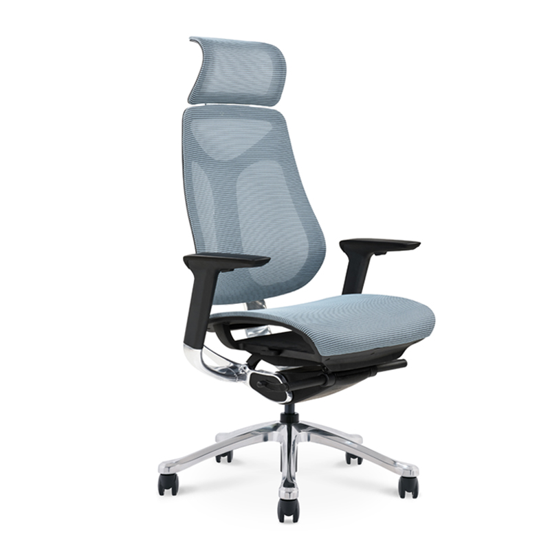 Projekt Ergonomski uredski komp...