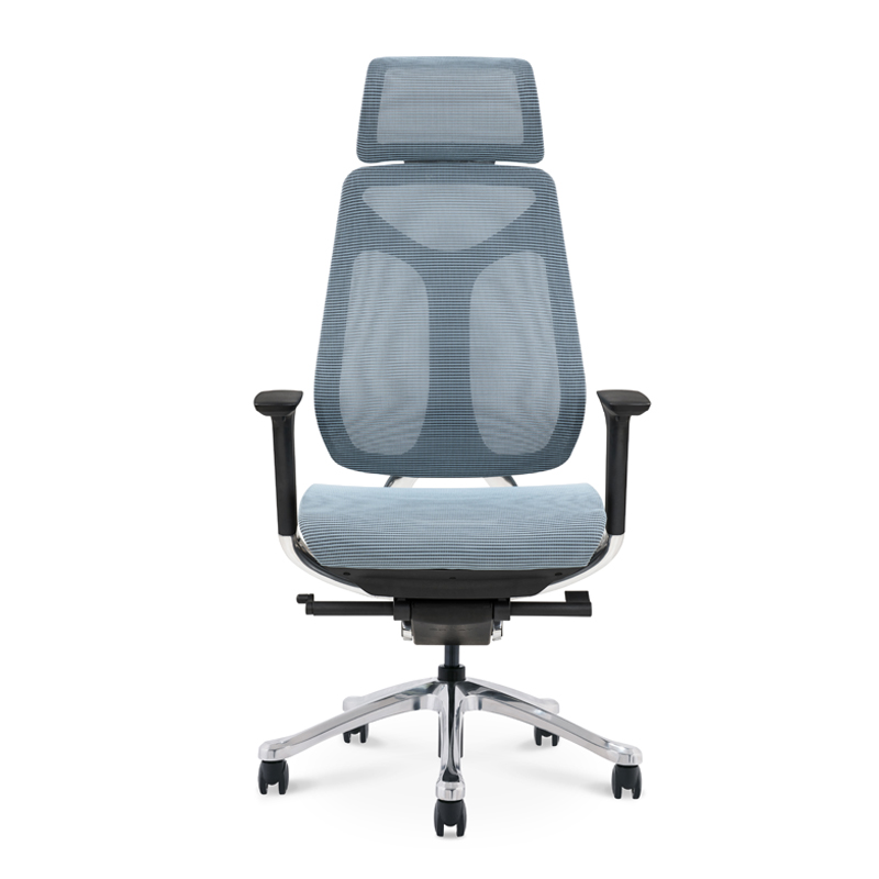 Projekt Ergonomski uredski komp...