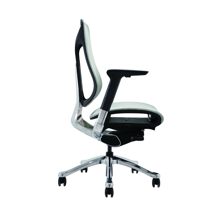 Modern executive full mesh of...