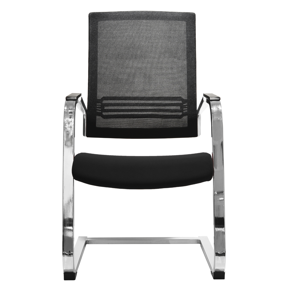 Elegant Design Executive Visi...