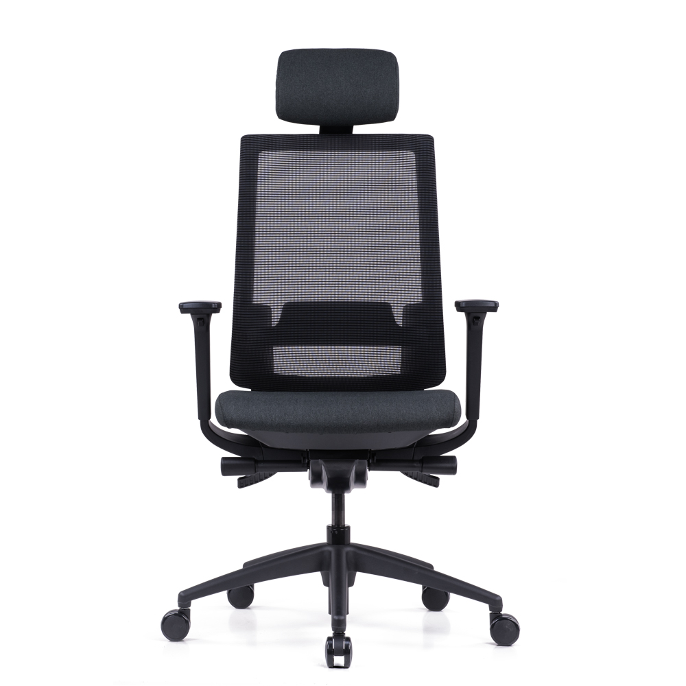 Goodtone Ergonomic Adjustable...