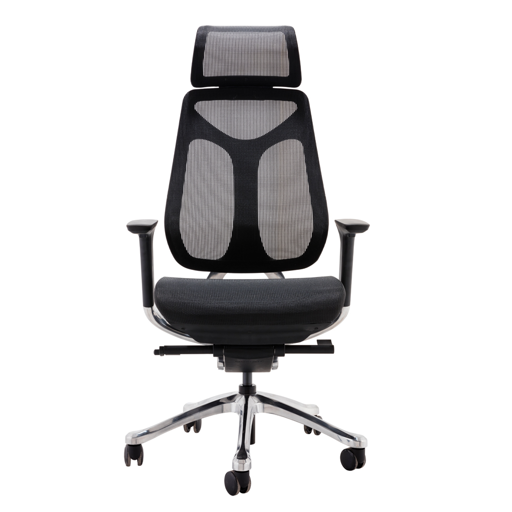 Goodtone Ergonomic office Cha...