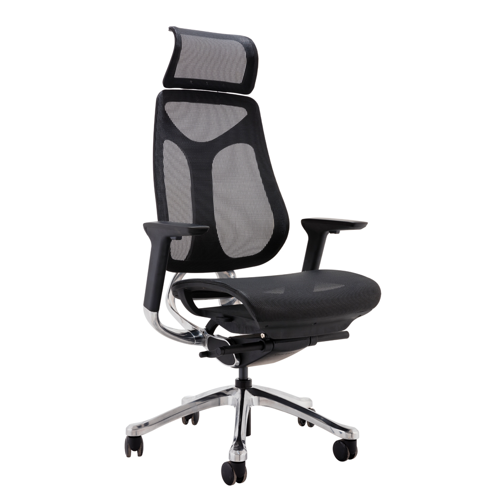 Goodtone Ergonomic office Cha...