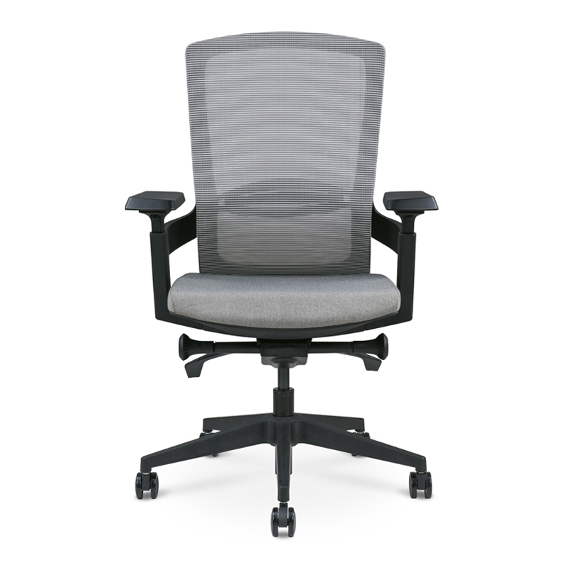 Comfortable Back Support Ergo...