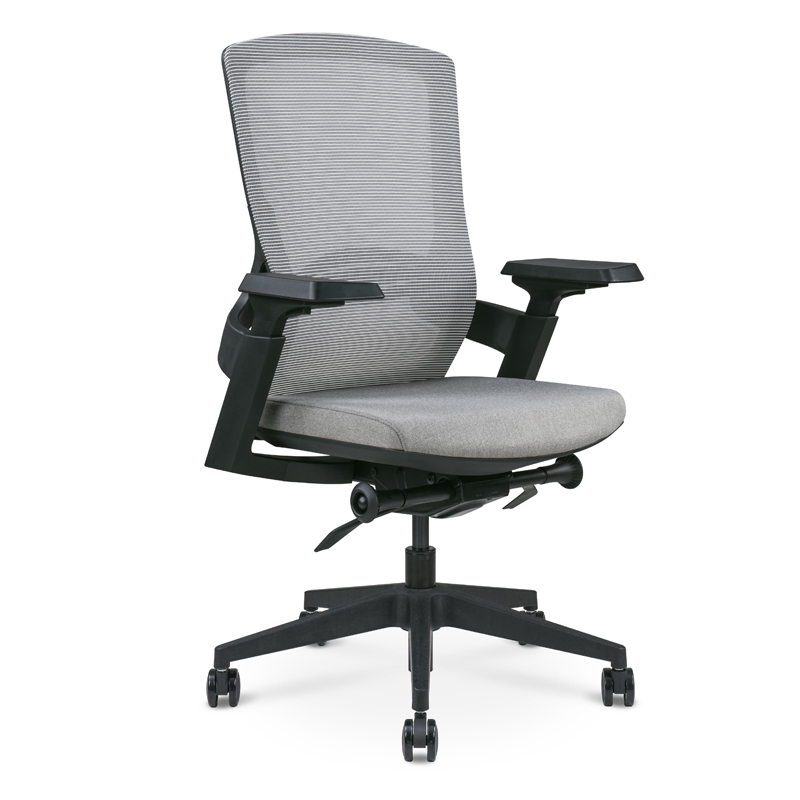 Comfortable Back Support Ergo...