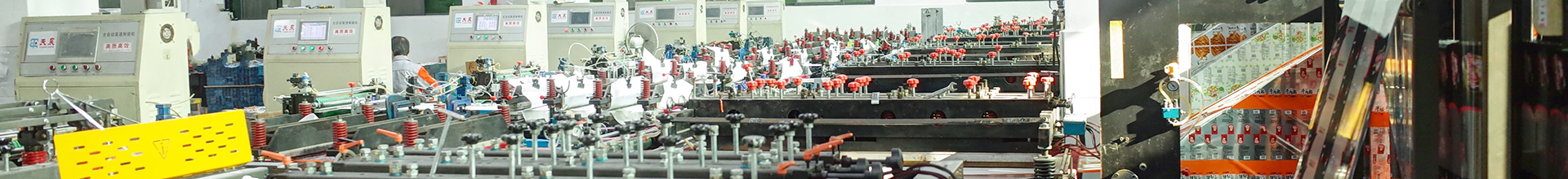 Pouch Bag Filling Machine
