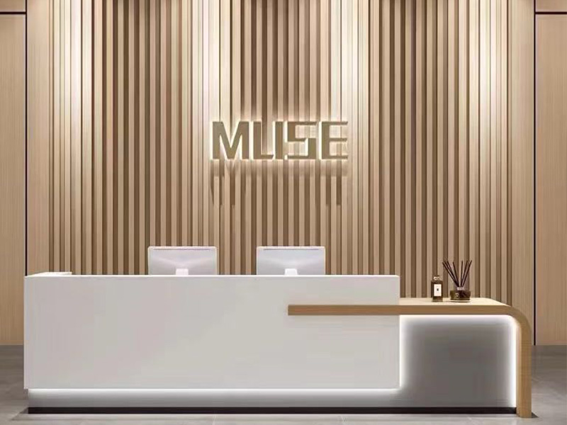 Wall & Ceiling Decorative Aluminum Profile 2