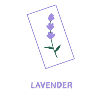 lavender.jpg