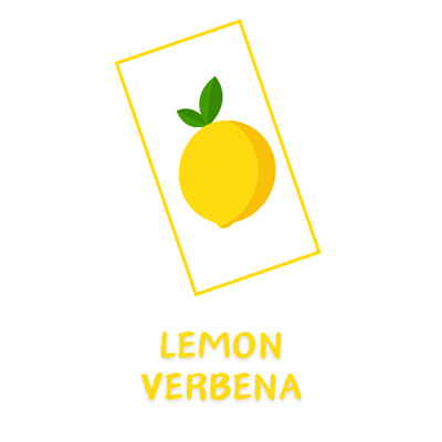 lemon verbena.jpg