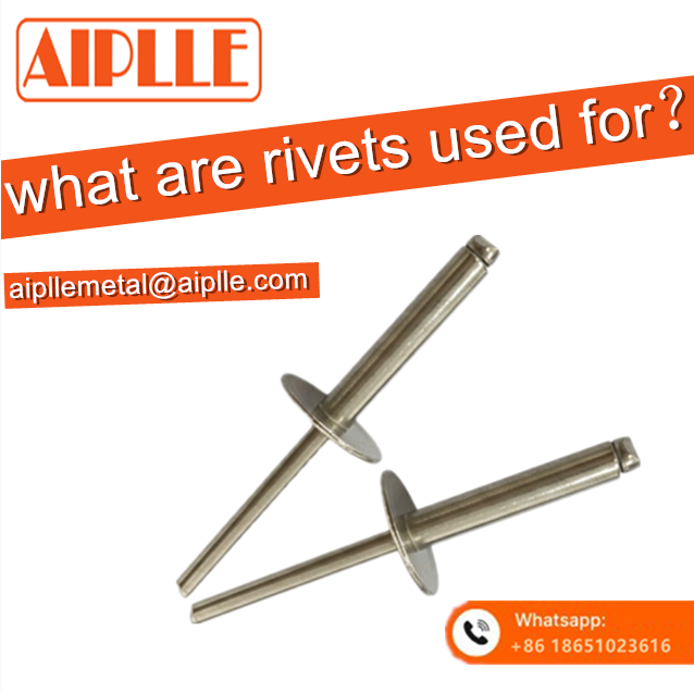 Rivet aveugle à grosse tête en acier inoxydable Aipllemetal