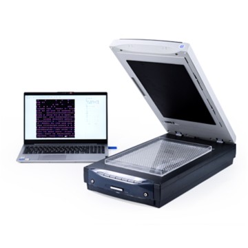 Rice Appearance Quality Tester IN-DM