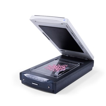 Rice Processing Accuracy Tester IN-DMJ