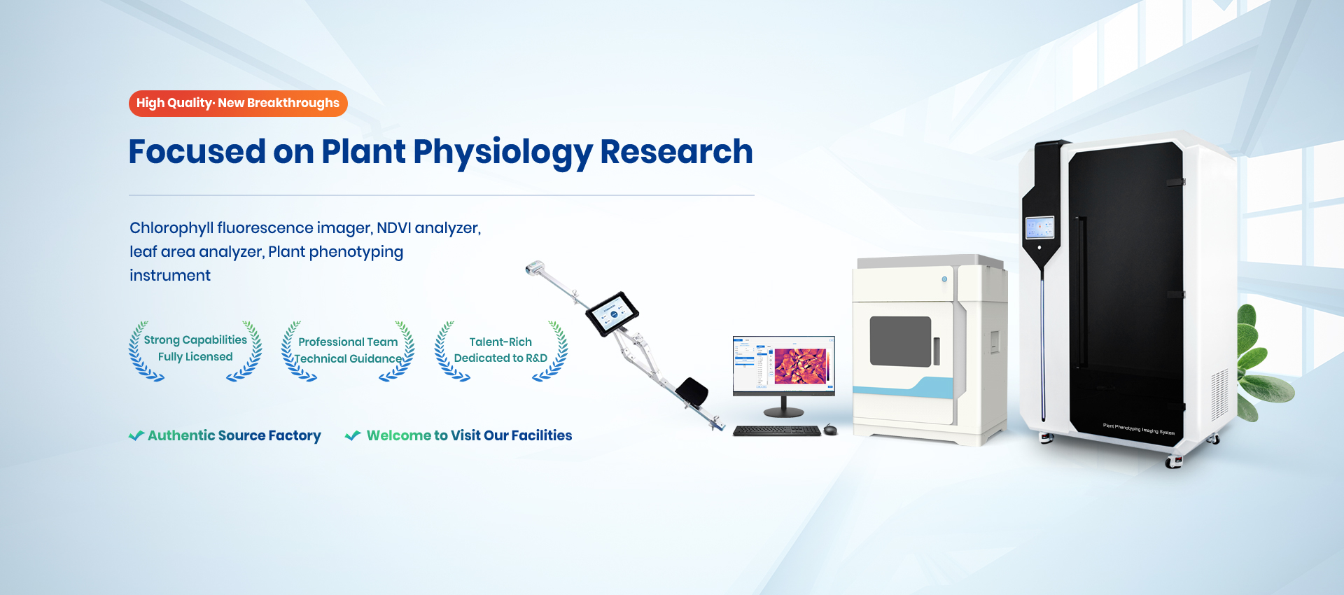 Seed Oils And Grains