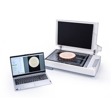 Annual ring analysis system