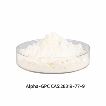 Alpha-GPC 28319-77-9 ผง 50% ของเหลว 99% เกรดอาหาร บรรจุจำนวนมาก