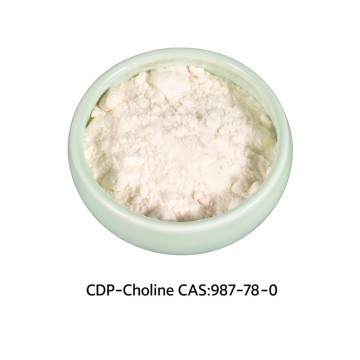 Cytidine Diphosphate Choline CAS 987-78-0 Citicoline Cognitive Health