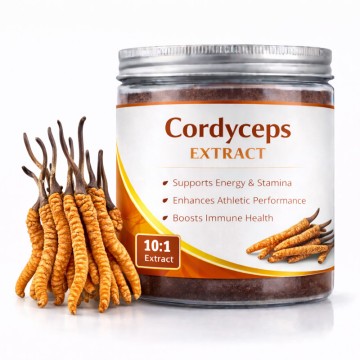 Cordyceps Extract Powder from China - Premium Sports Nutrition by Leading Suppliers and Factory