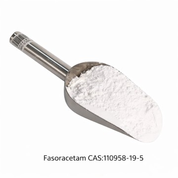 Fasoracetam CAS:110958-19-5 Racetam Family Nootropic Agent