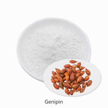 Genipin CAS 6902-77-8 Natural Crosslinker UCP2 Inhibitor
