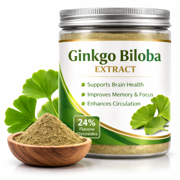 Ginkgo Biloba Extract 50:1 10:1 Ratio Extract Supplement Raw Material