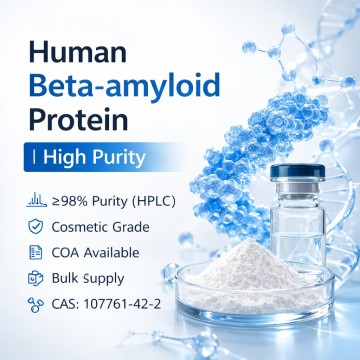 Human Beta-amyloid Protein | High Purity CAS：107761-42-2