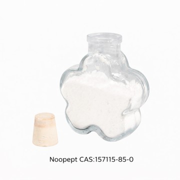 Noopept GVS-111 Nootropic Peptide 157115-85-0 - High Purity Powder from China Suppliers & Factory