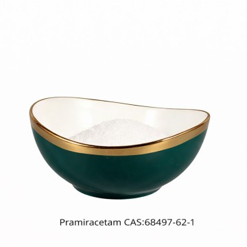 Pyrrolidinone Derivative CAS 68497-62-1 Pramiracetam Neuroprotection