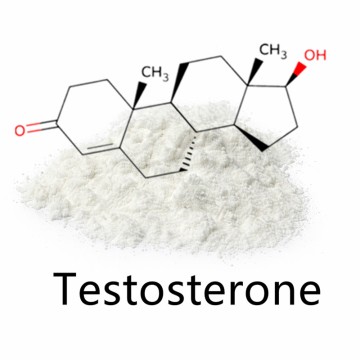 Testosterone (CAS 58-22-0) | ≥98% Purity - China Suppliers & Factory for R&D & Analytical Testing