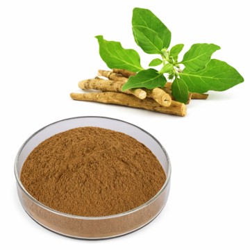 Ekstrakt z ashwagandhy CAS 90147-43-6 Witanolidy ≥5% żeń-szenia indyjskiego