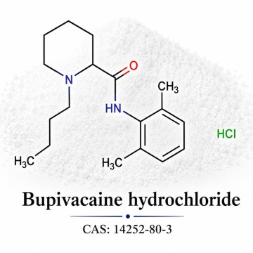 Bupivacaine Hydrochloride CAS 14252-80-3 | Pharmaceutical Chemical