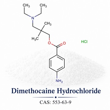 Dimethocaine Hydrochloride CAS 553-63-9 | Pharmaceutical Chemical