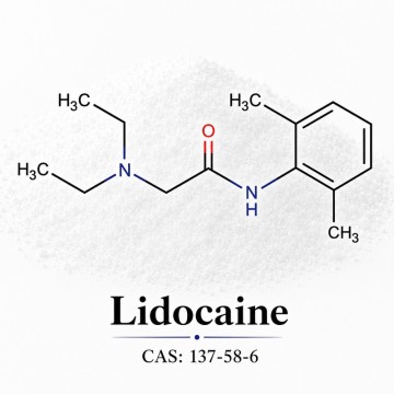 Lidocaine CAS 137-58-6 | Pharmaceutical Chemical Material