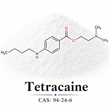 Tetracaine CAS 94-24-6 | Pharmaceutical Chemical Material