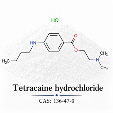 Tetracaine Hydrochloride CAS 136-47-0 | Pharmaceutical Chemical