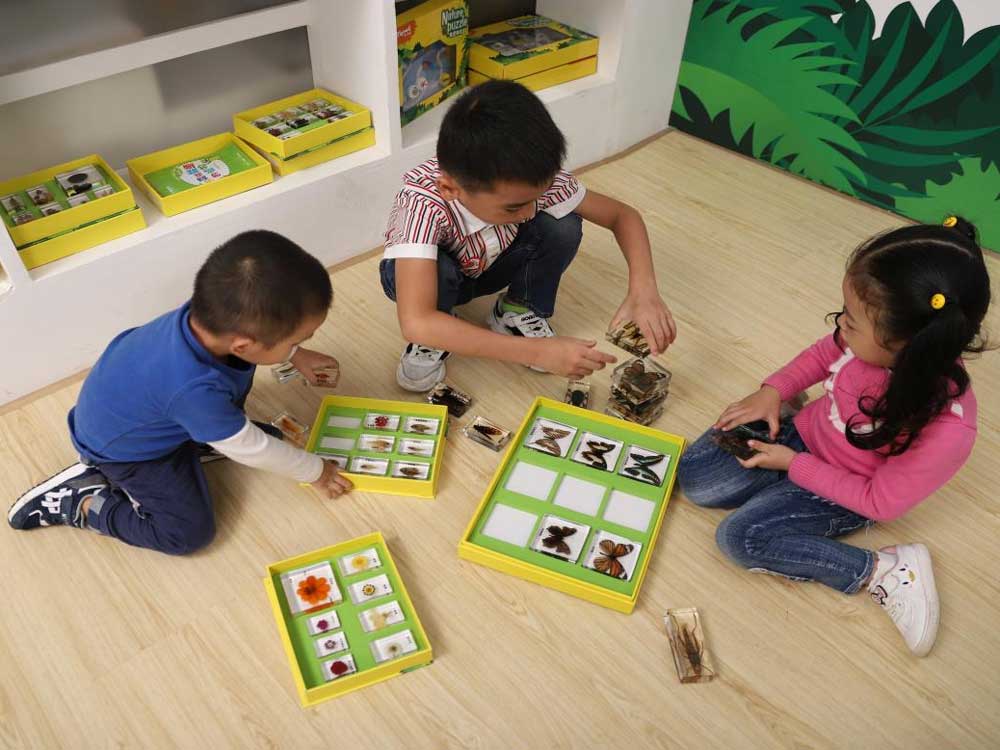 A Child's "First Science Collection": The Role of Resin Educational Specimens in Early Sensory and Cognitive Development