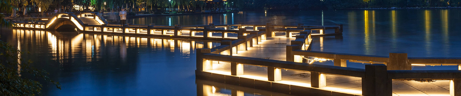 LED Flood Light