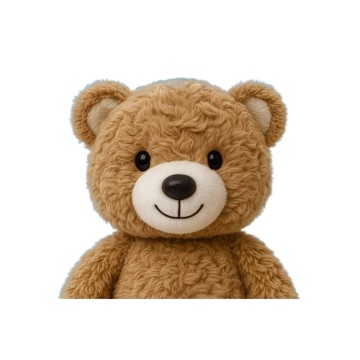 Family Care Companion Robot