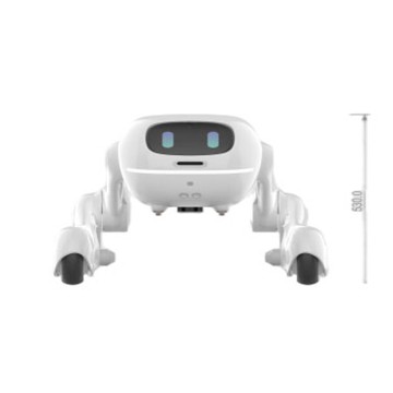 Smart Home Service & Emotional Companion Robot