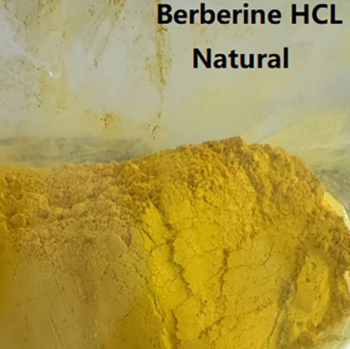 ម្សៅ Berberine HCl សម្រាប់ការប្រើប្រាស់ផ្នែកឱសថ និងឱសថ