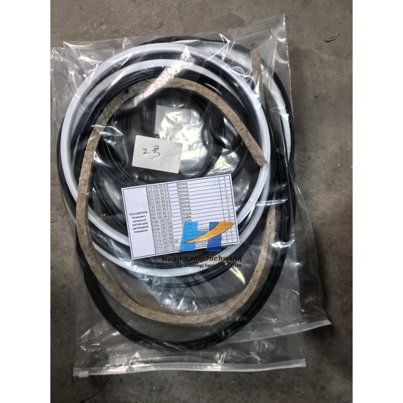 Belaz 7547 Belaz 75473 Belaz 7555 7519-2917018 REAR SUSPENSION REPAIR KIT (analogue), AM