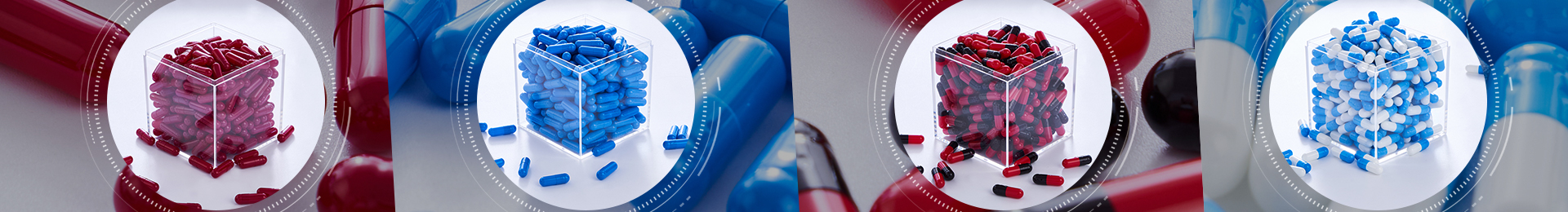 Vegetarian Gel Capsules