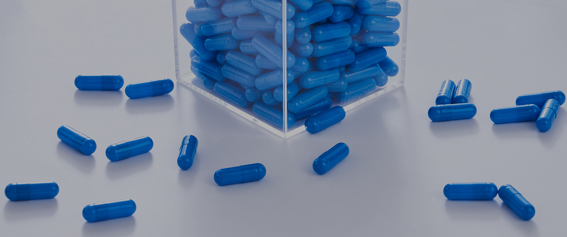 Gelatin Empty Capsules