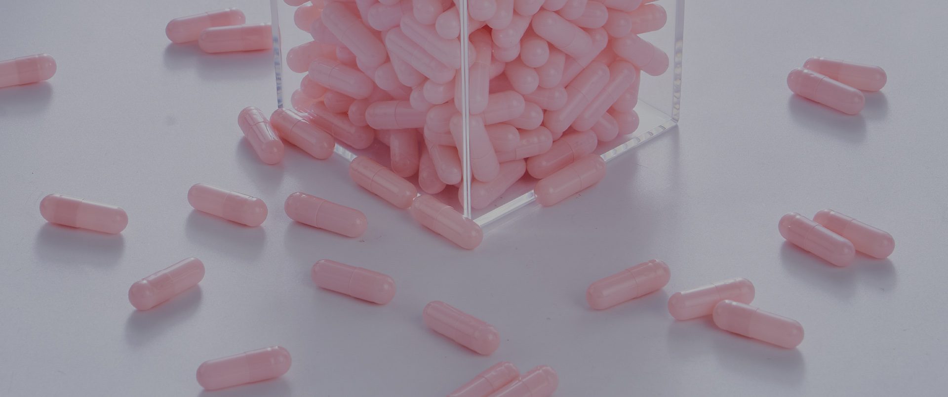 Gelatin Empty Capsules4