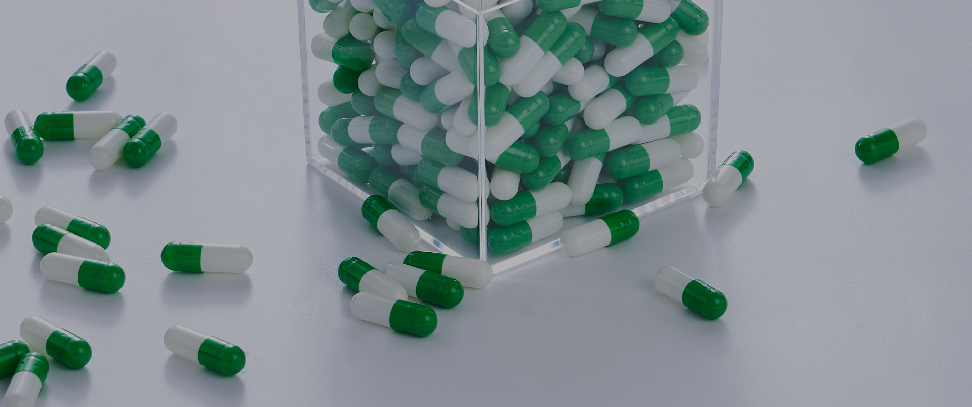 Gelatin Empty Capsules6