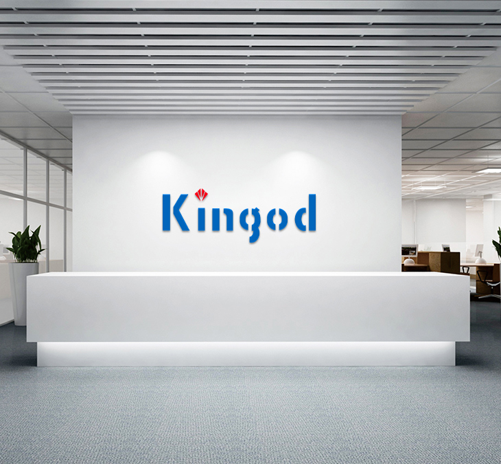 COMPANY INTRODUCTION
