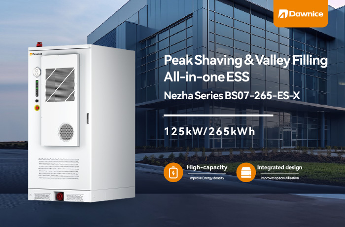All-in-One Grid Energy Storage (1)