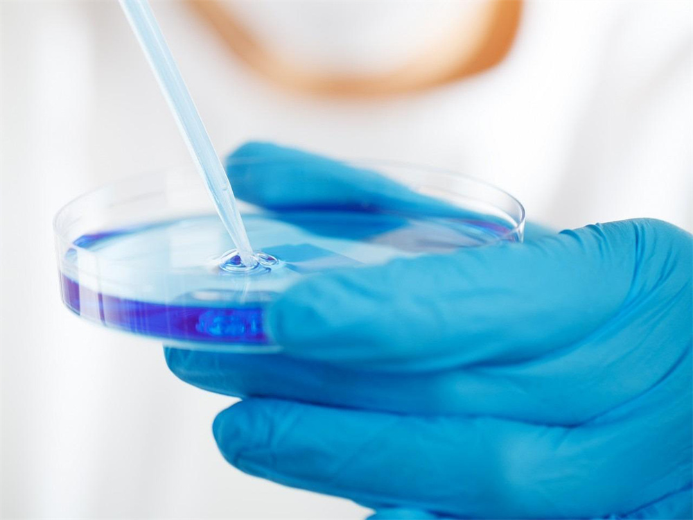 Disposable Nitrile Glove For Medical Examination (3)